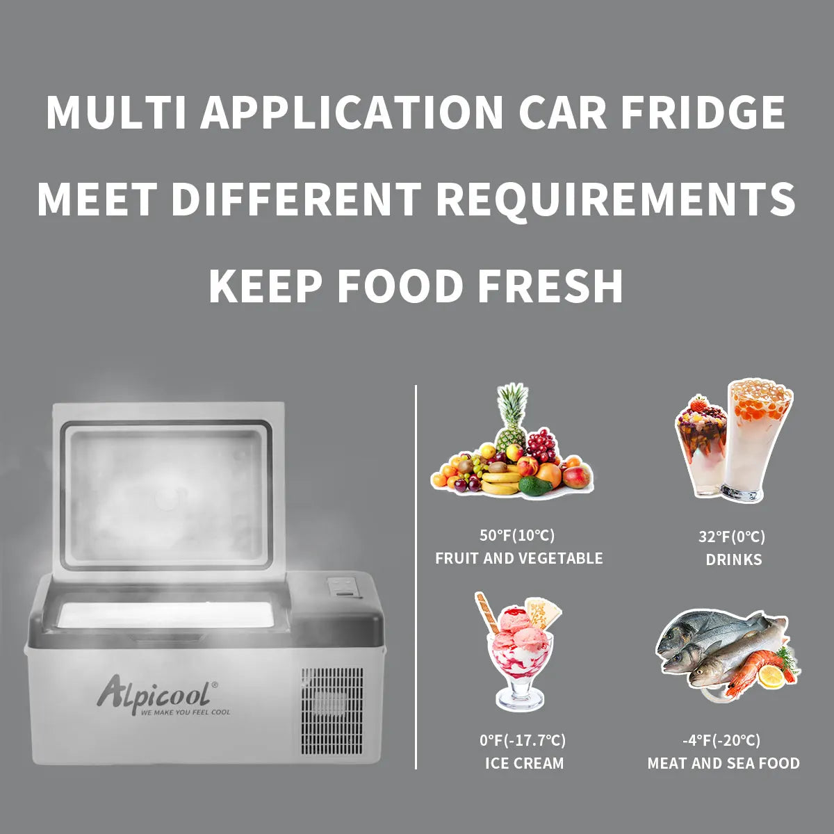 Portable Mini-Fridge – 20L
