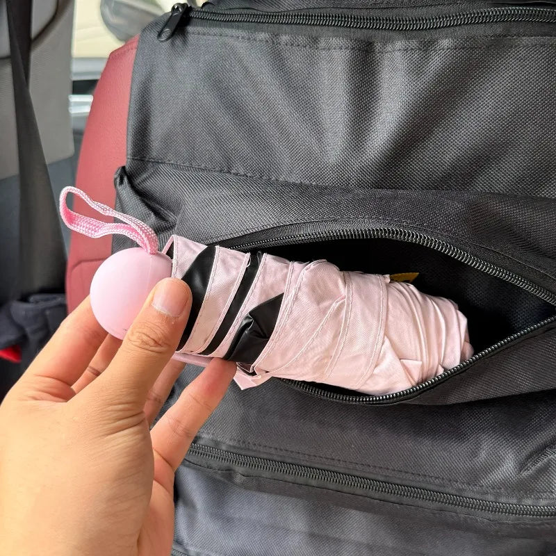 Organizador de Asiento